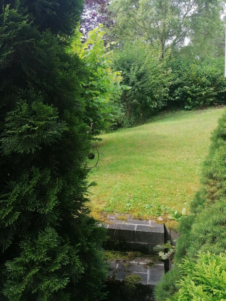 FeWo Grenzenlos in Ramsberg Pleinfeld Exterior foto